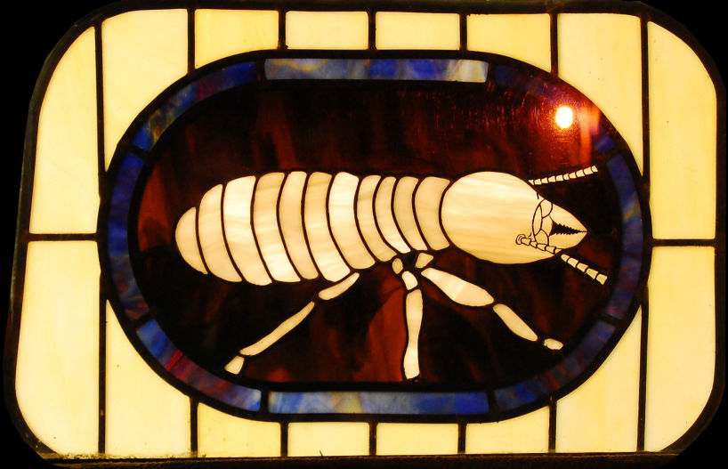 Ruminant: The "Termite" panel. Photo: Jim Dunn.