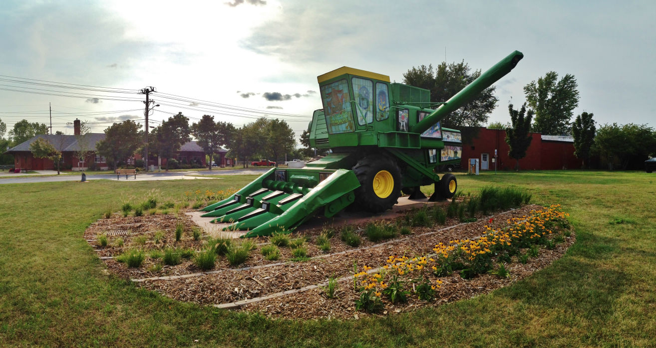 Ruminant in Harvest Park, Reedsburg